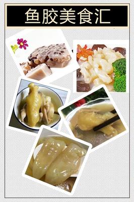 非洲野生開邊黃花膠 產地直銷，品質保證