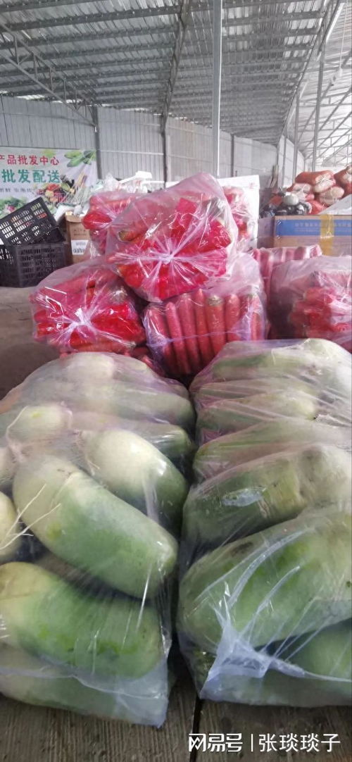 一份厚禮 南充嘉陵頭洞橋農產品批發中心國慶試營業，開啟海味干貨批發新篇章