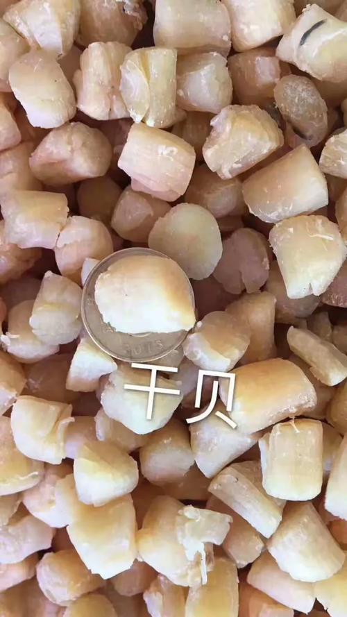 東山海鮮干貨 品質(zhì)之選｜歡迎蒞臨少年宮旁小店品茶洽談