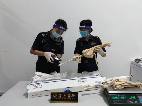 江門廣播電視臺(tái) 打造精品節(jié)目，傳播僑鄉(xiāng)之聲